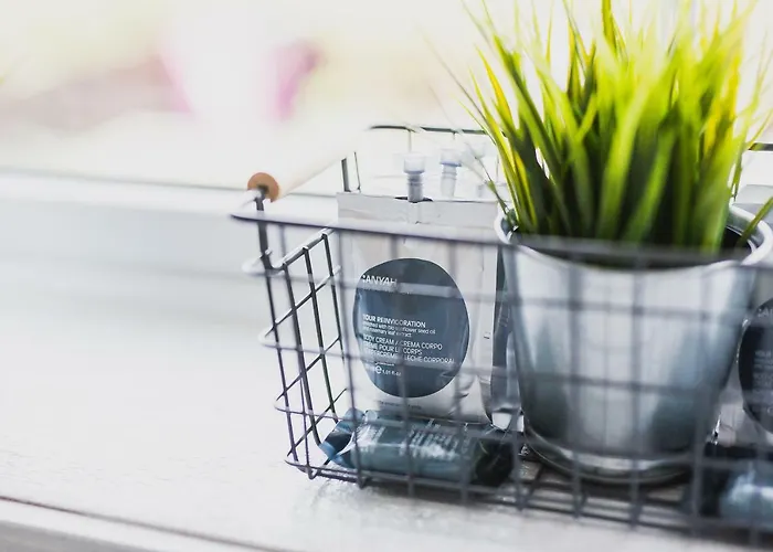 別荘 Cook's Retreat *